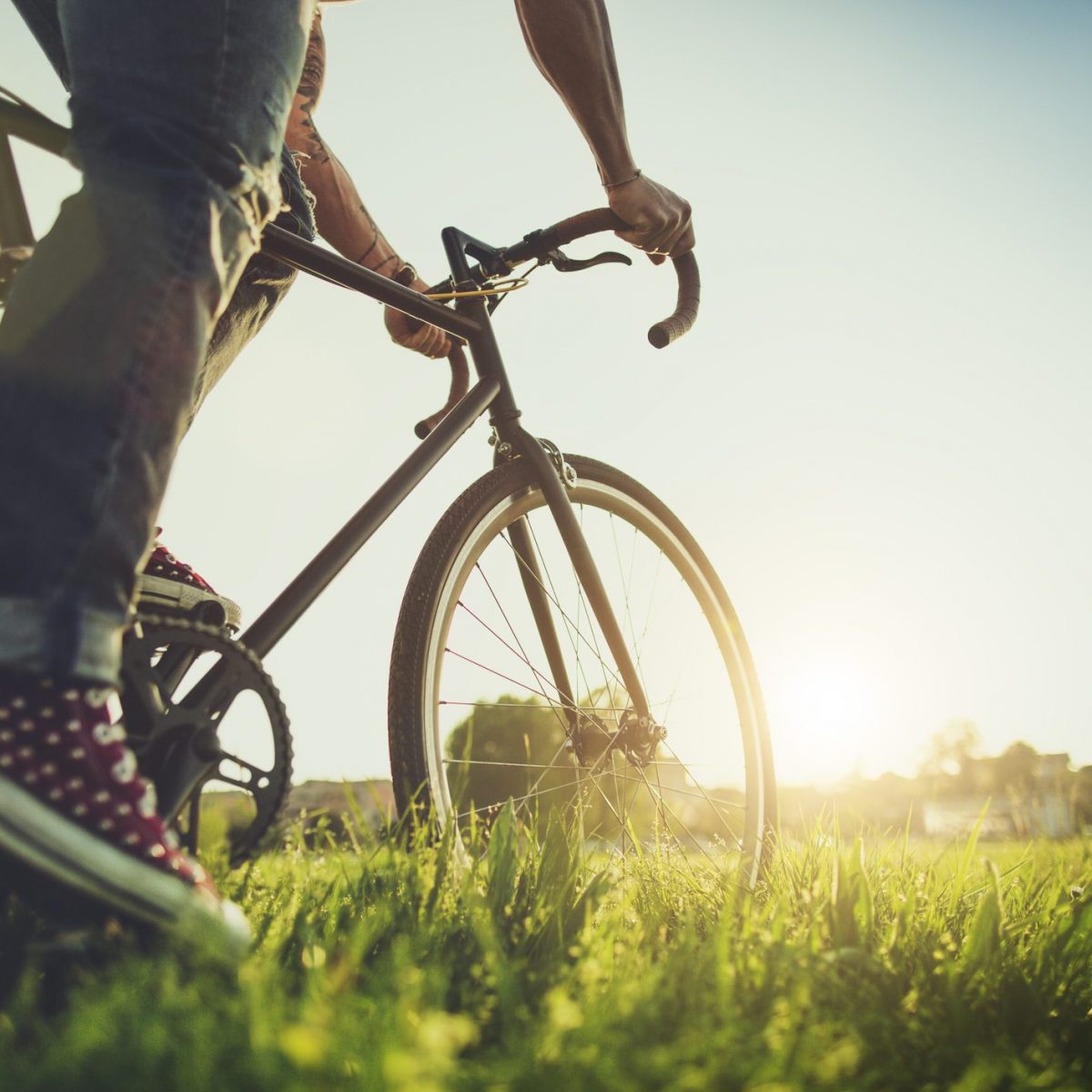 I tipi di biciclette più comuni per spostarti | Ohga!