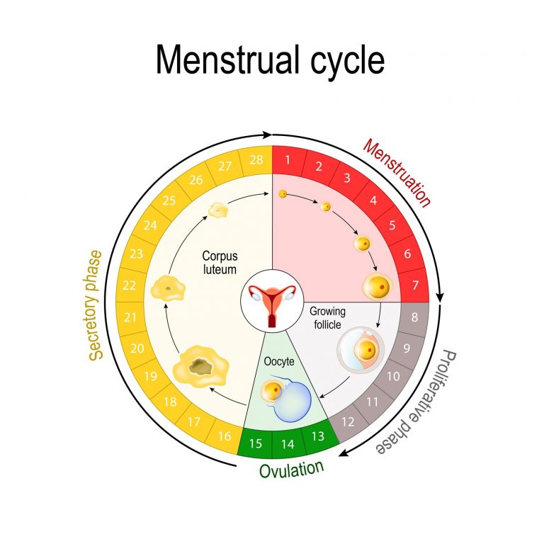 Pillola Del Giorno Dopo Ritardo Ciclo Mese Successivo