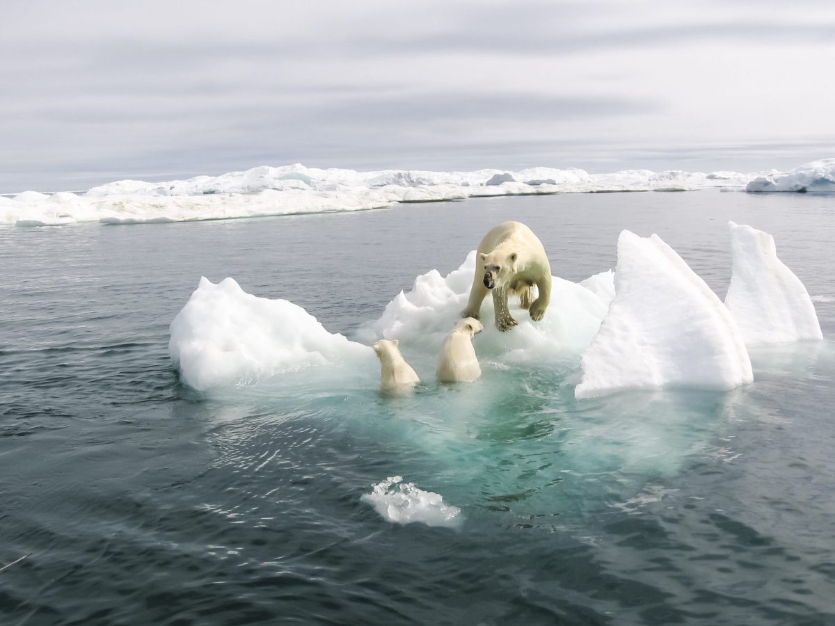 Riscaldamento globale cos'è e da cosa è causato esattamente? Facciamo chiarezza Ohga! Riscaldamento globale cos'è e da cosa è causato esattamente? Facciamo chiarezza Ohga!