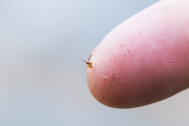 Aspiraveleno Per Punture Insetti - Estrattore Per Morsi Di Zanzara, Api, Vespe - Foto 6