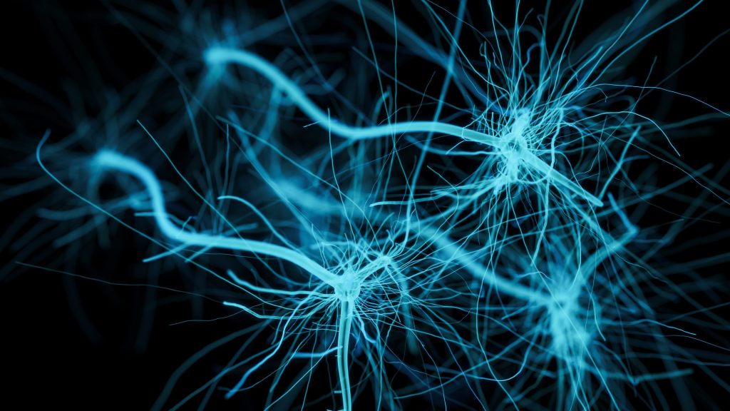Creata La Prima Sinapsi Artificiale In Grado Di Comunicare Con I 