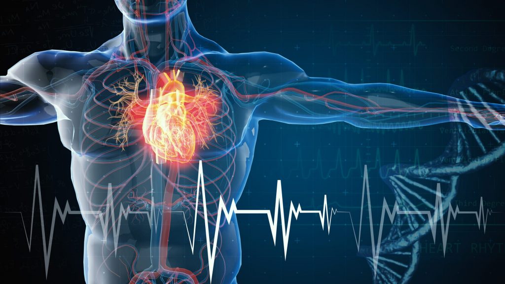 Soffio al cuore cause, sintomi e cure Ohga!