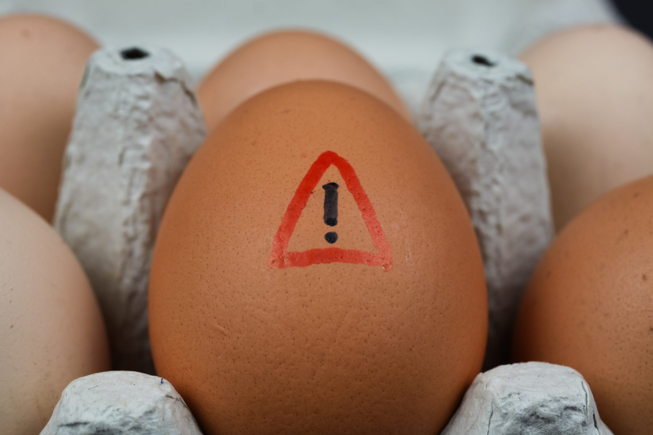 L allergia All uovo Come Gestire L allergia Alimentare Pi Diffusa Tra 