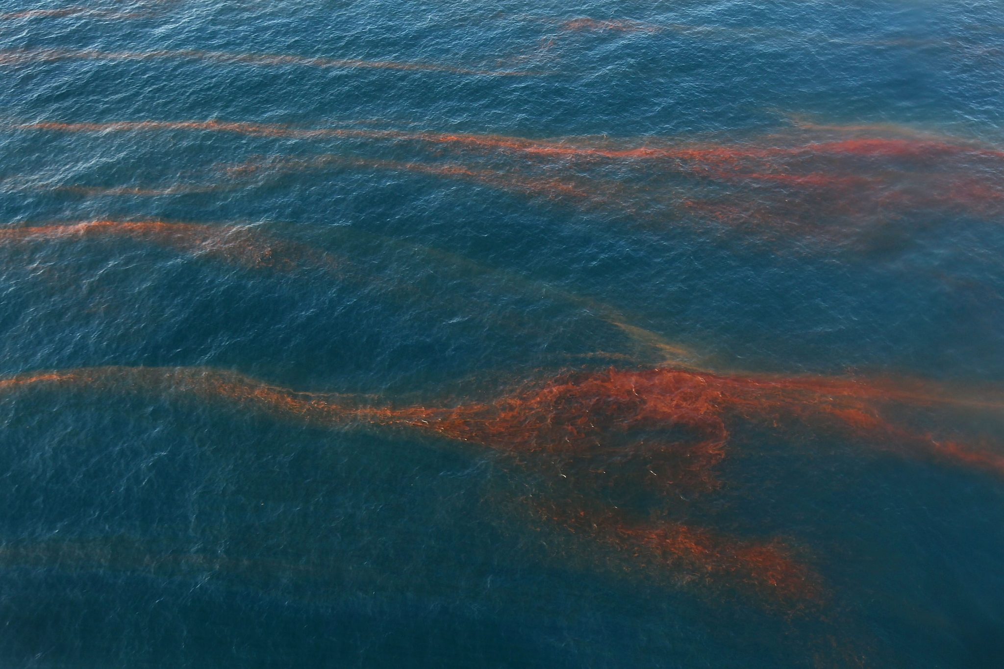 Deepwater Horizon: le cause e le conseguenze fino ad oggi | Ohga!