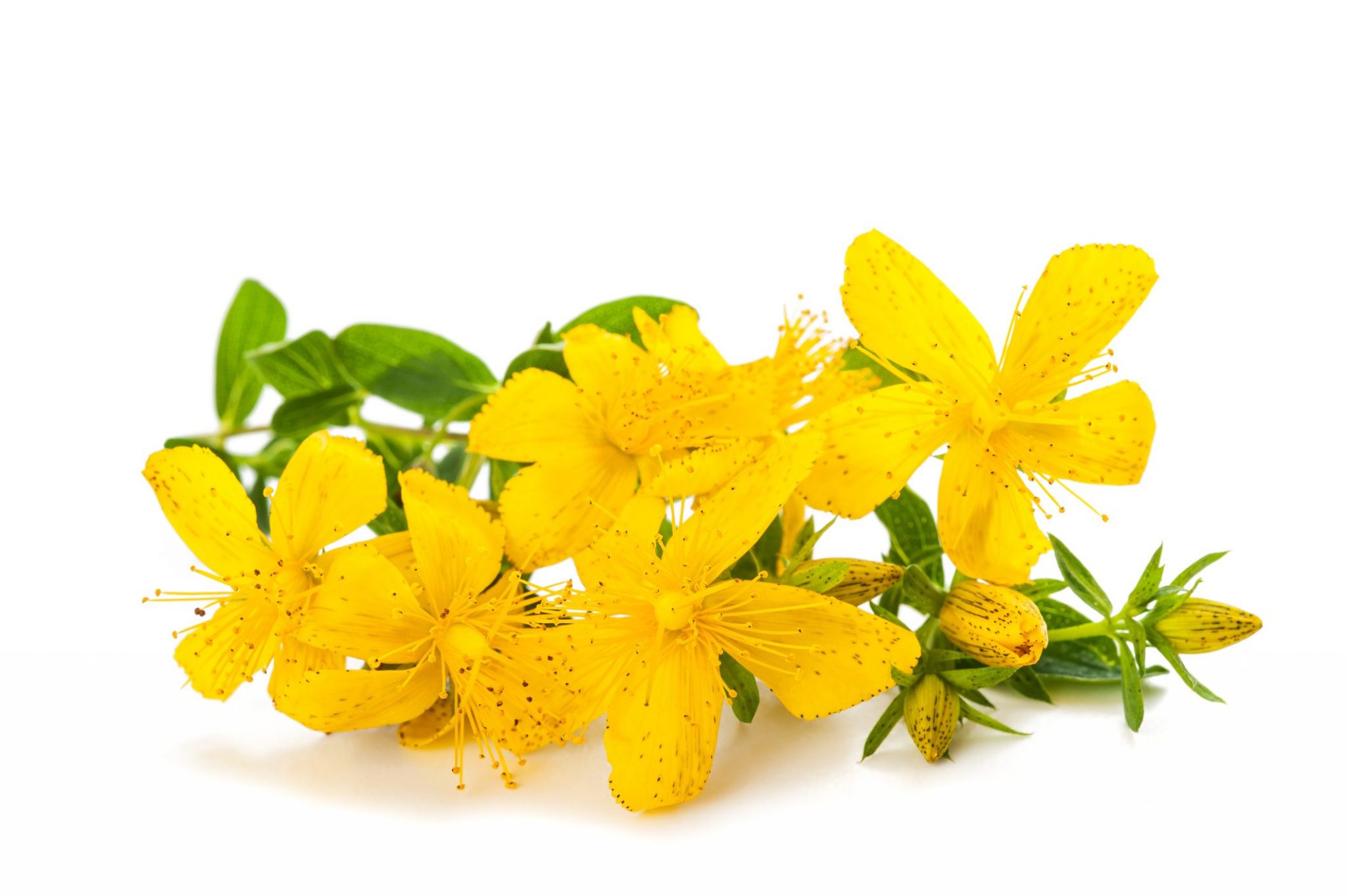 San Pietro E Paolo Barca La barca di San Pietro: la suggestiva tradizione legata alla festa di