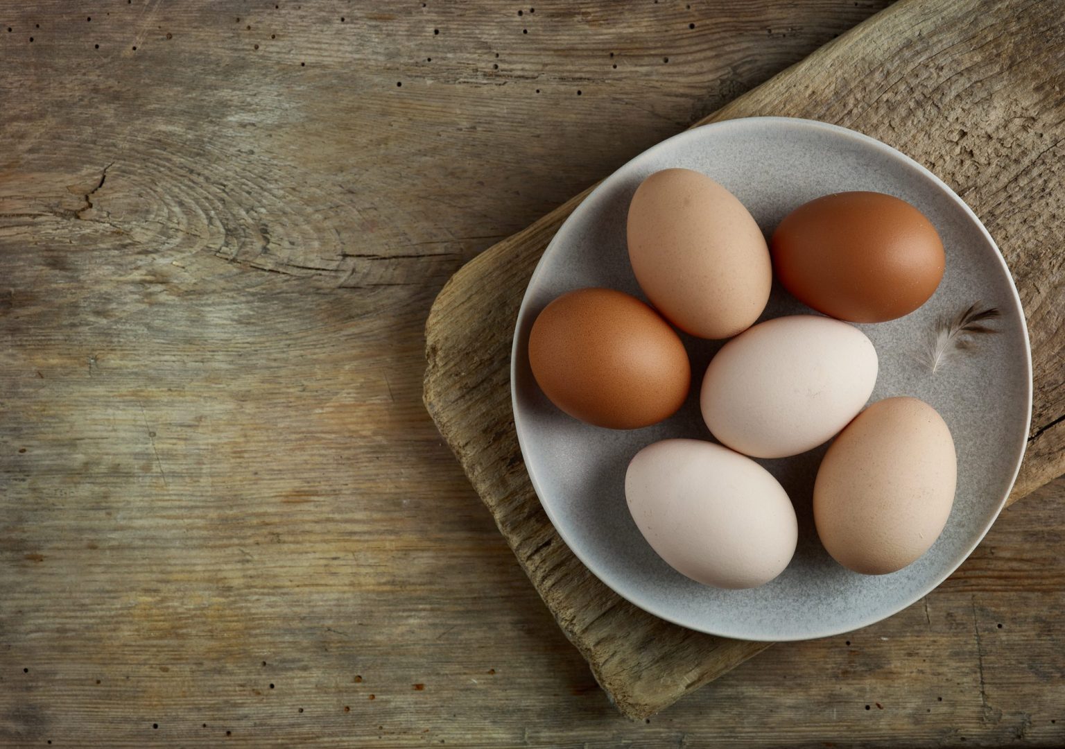 Differenza Tra Uova Di Anatra E Gallina