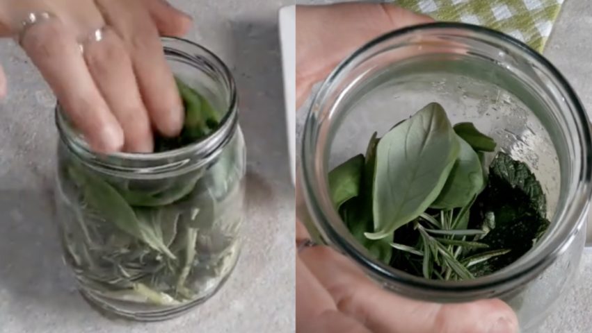 Alvinlite Herb Fresh Keeper Contenitore per Erbe aromatiche Savor