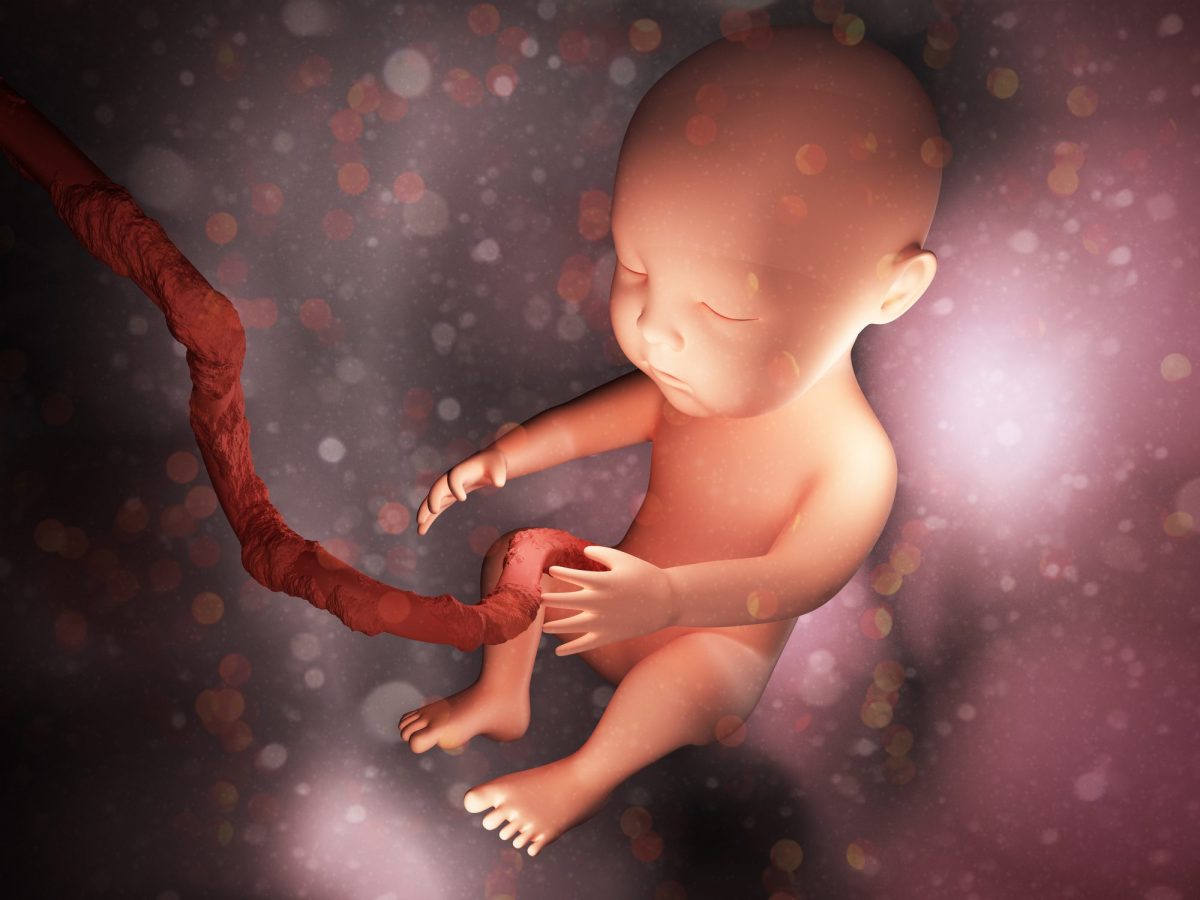 Morte perinatale le cause e la diagnosi Ohga!