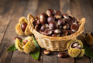 castagne-fresche