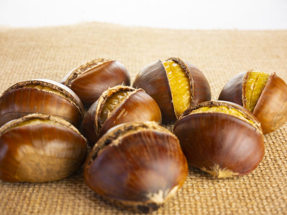 Come Riciclare I Gusci Delle Castagne Ohga