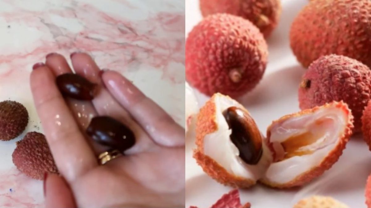 Come coltivare i litchi a casa Ohga! Come coltivare i litchi a casa Ohga!