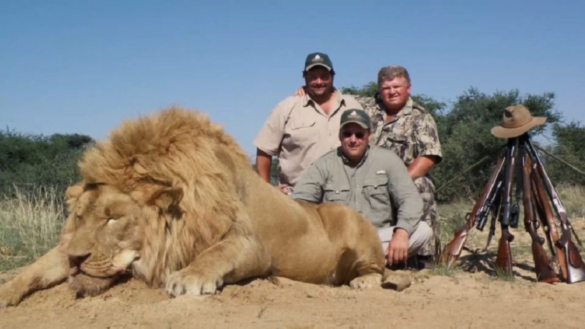 Perché la caccia ai trofei è da abolire e l'ecoturismo può essere una valida alternativa Ohga!