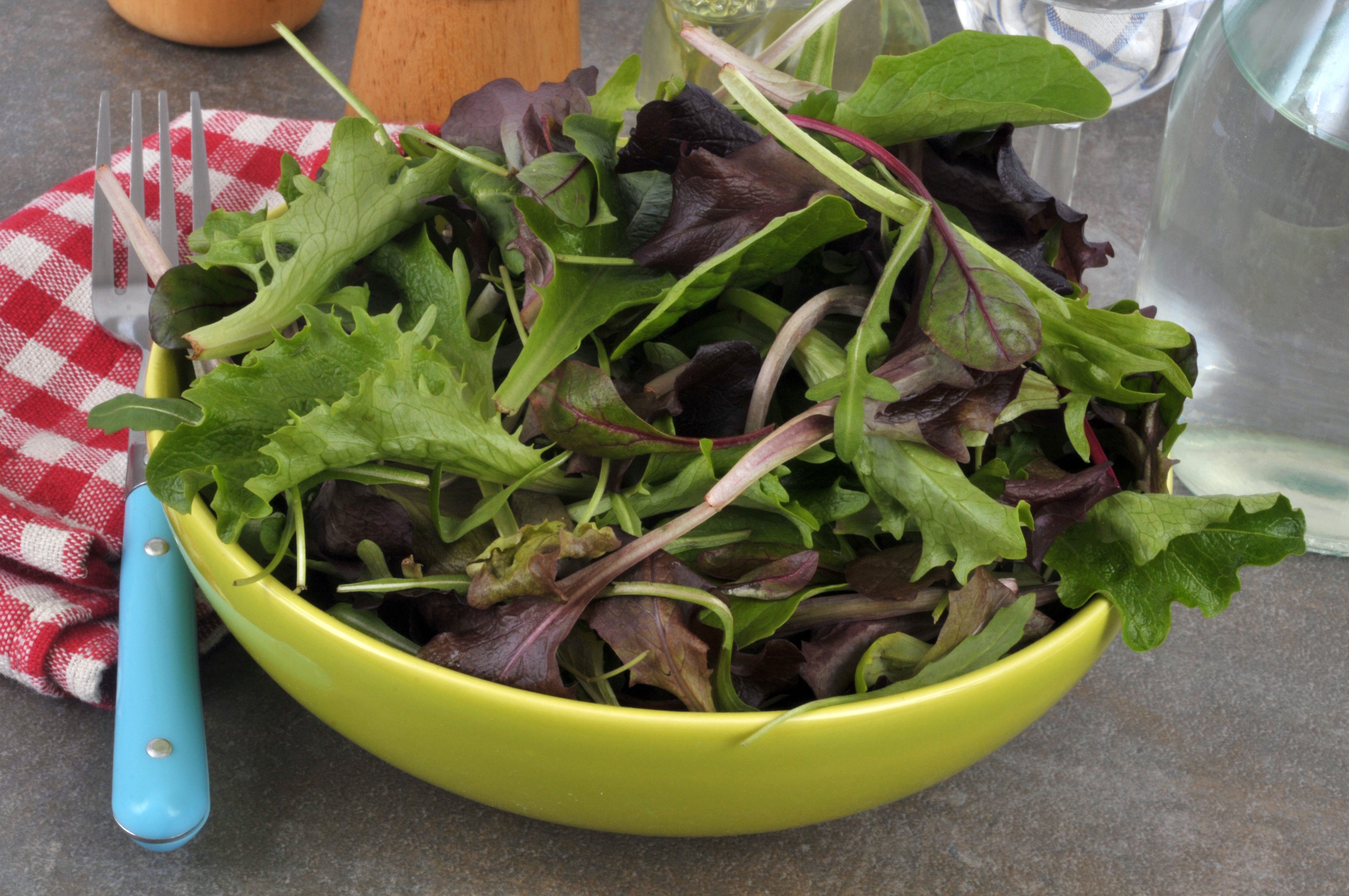 Insalata In Busta Guida Per Un Uso Consapevole Ohga 