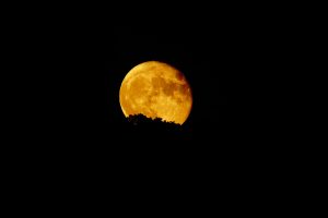 luna-piena-cervo-luglio-2022