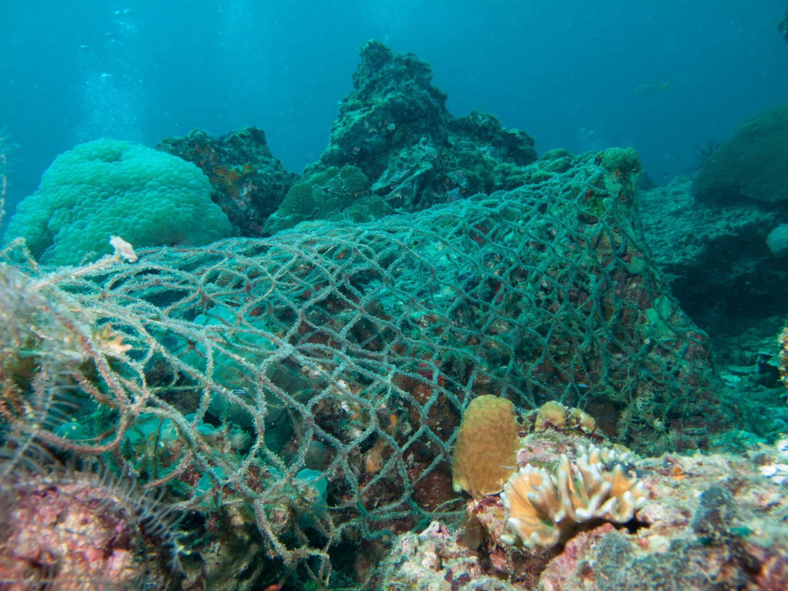 una-rete-fantasma-di-300-metri-stata-ripescata-nel-mar-ligure