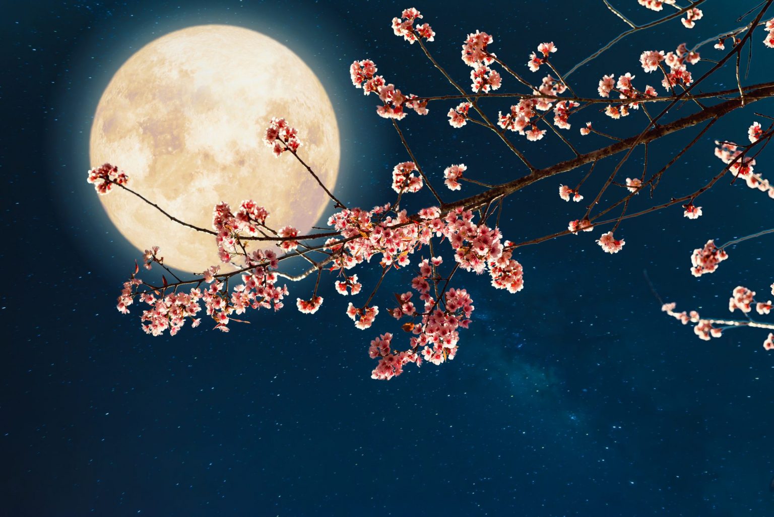 La Luna piena di oggi, 23 aprile 2024 a che ora vederla e perché si chiama Luna Rosa Ohga!