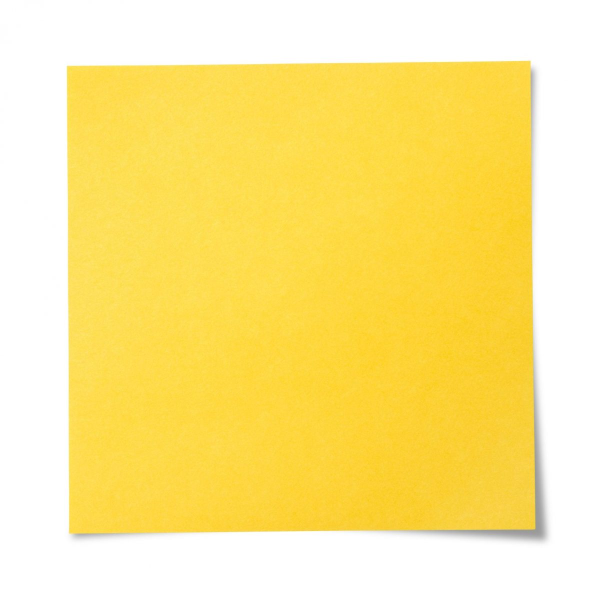 Girasoli di carta di gelso 3,2 x 3,2 cm colori misti fiori di