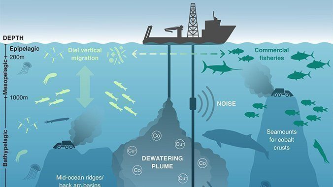 Pilker Kinetic HX Da 100g A 600g Per Pesca In Norvegia - Esca Metallica Per Merluzzo, Eglefino, Halibut - Senza Piombo