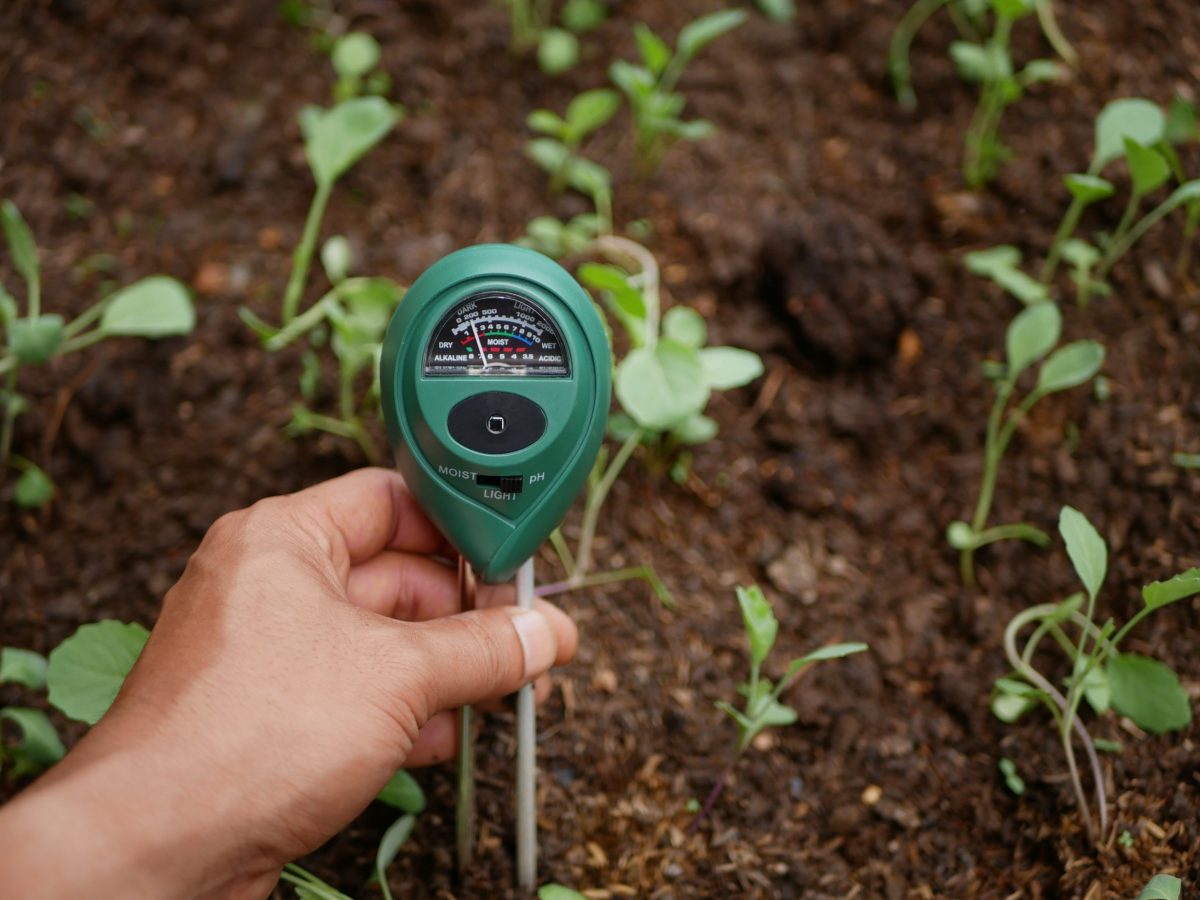 Misuratore Umidità Terreno - Sensore Per Piante Da Interno Ed Esterno, Facile Da Usare - Foto 7