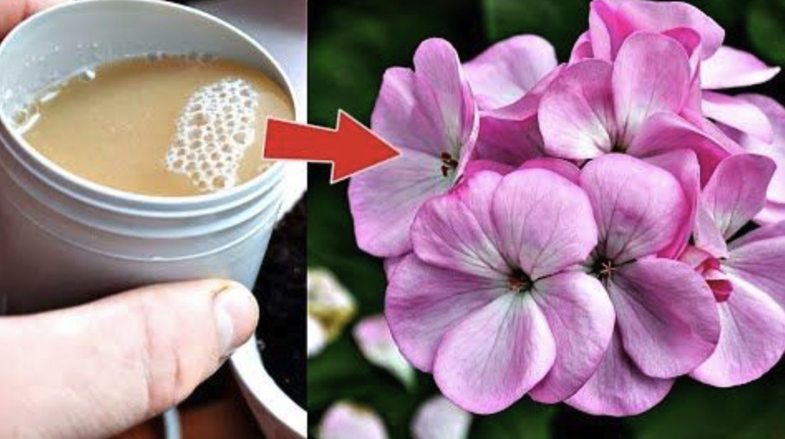 Game Boy Pokemon Giallo | Acquisti Online Su - Foto 11