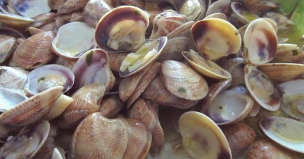Stylex 24 Acquerelli Con 1 Tubetto Di Bianco Opaco E 6 Campi Di Miscelazione Colore Vernice Per Fai  23334126