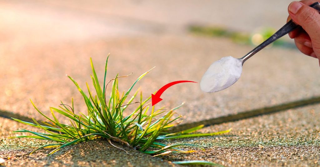 Pediluvio naturale con acqua e sale grosso: come farlo e quali sono i