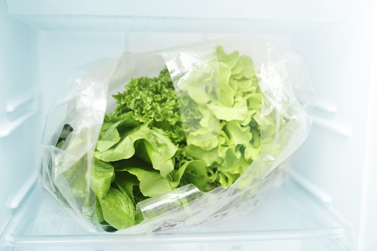 Come curare il Falangio, la pianta ragno | Ohga!