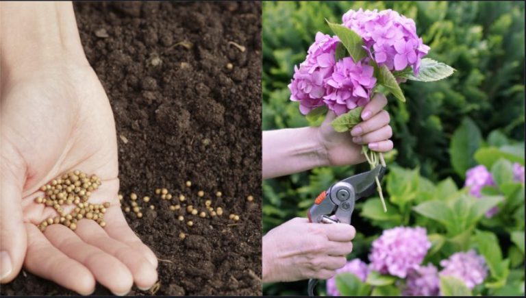 Pediluvio naturale con acqua e sale grosso: come farlo e quali sono i