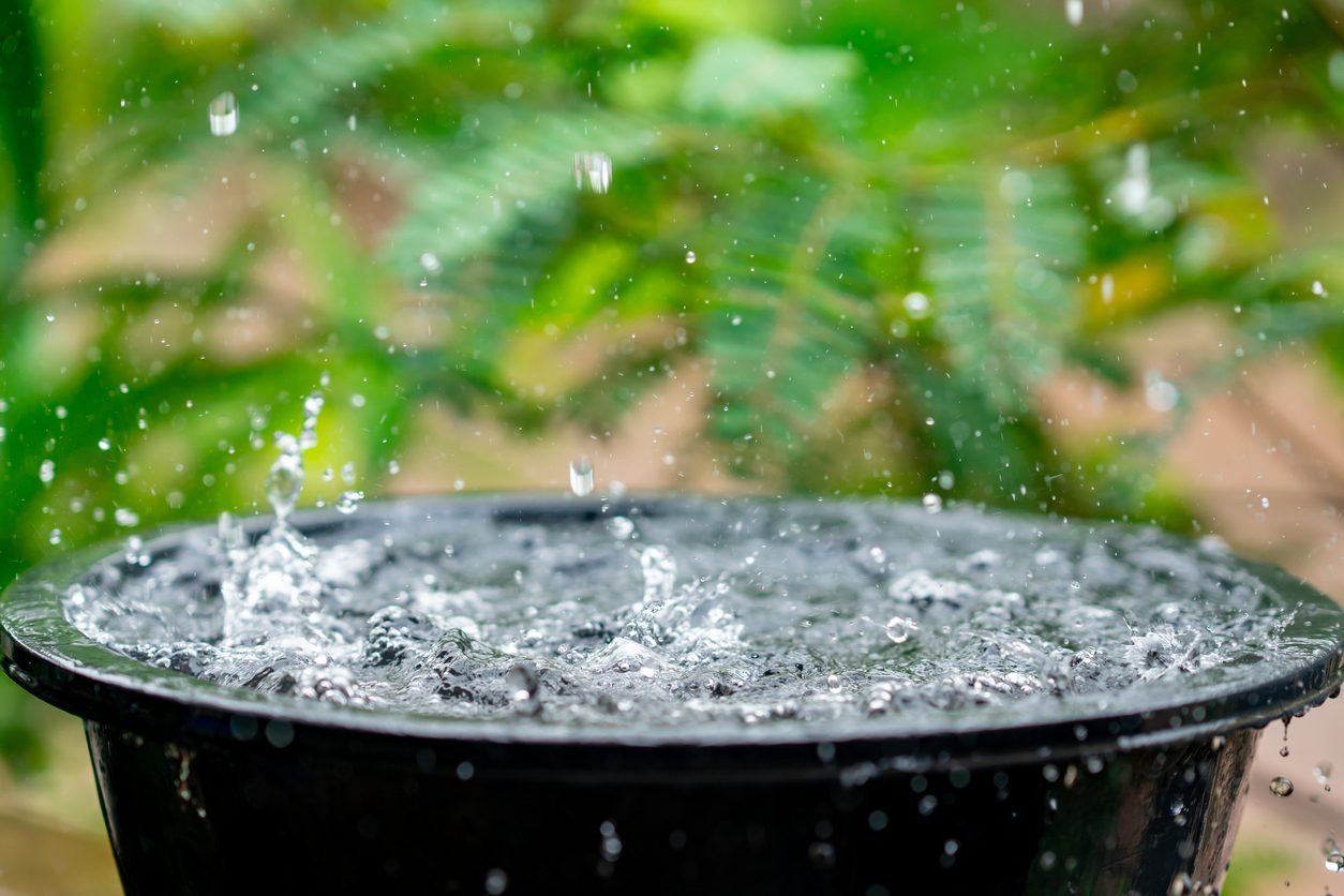 Valvola In PVC 3/4" Per Contenitore Acqua Piovana: Con Adattatore Per Tubo Da Giardino E Controllo Flusso